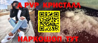 индика Донской