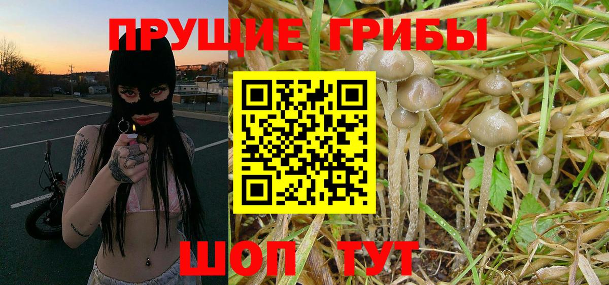 Галлюциногенные грибы Cubensis  Вход с VPN  Галлюциногенные грибы Magic Shrooms  Ликино-Дулёво 