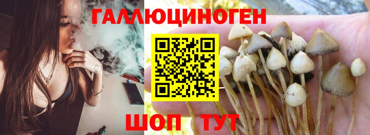Галлюциногенные грибы GOLDEN TEACHER Ликино-Дулёво